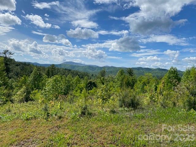 Property image 2 at Lot 58 Peppervine Circle, Rosman, NC 28772