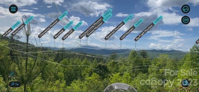 Property image 3 at Lot 58 Peppervine Circle, Rosman, NC 28772