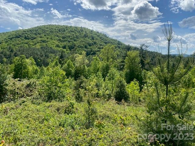 Property image 5 at Lot 58 Peppervine Circle, Rosman, NC 28772