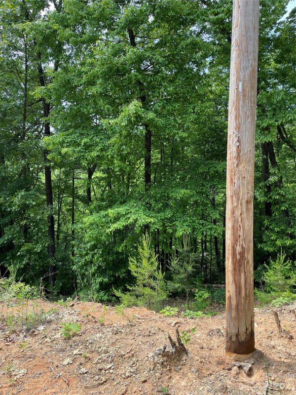 Property image 4 at 0 Martha Lynns Lane, Lake Lure, NC 28746