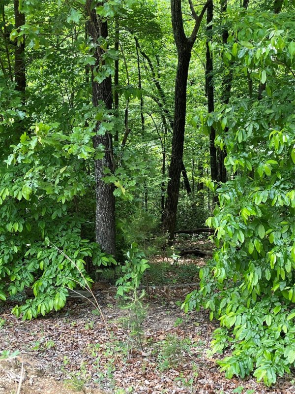 Property image 5 at 0 Martha Lynns Lane, Lake Lure, NC 28746