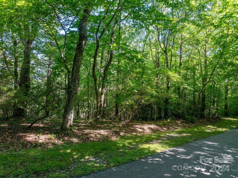 Property image 4 of Tbd Continental Divide Road in Apple Mountain, Spruce Pine, NC 28777