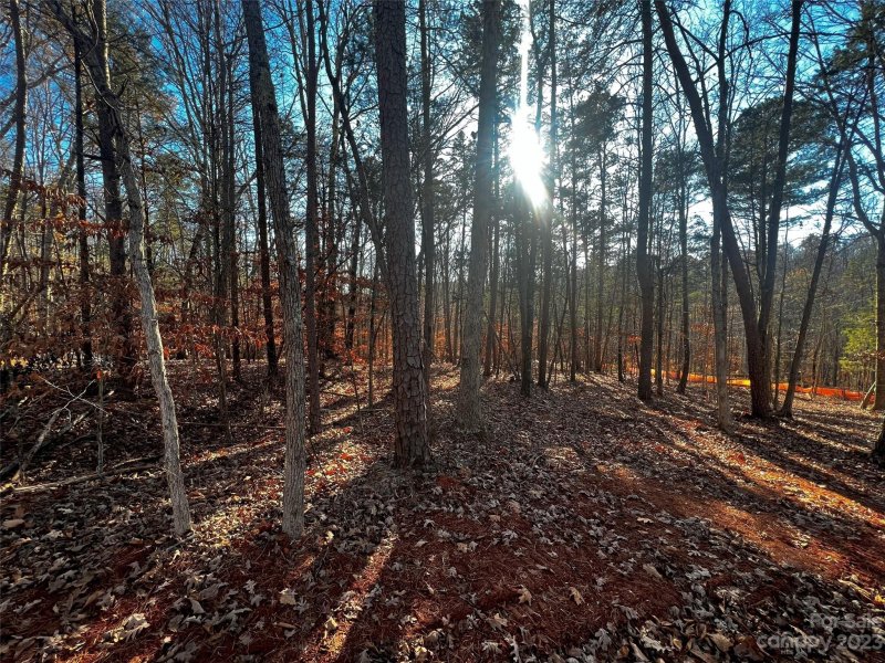 Property image 2 of 157 Copper Pine Lane in Copper Pine, Davidson, NC 28036