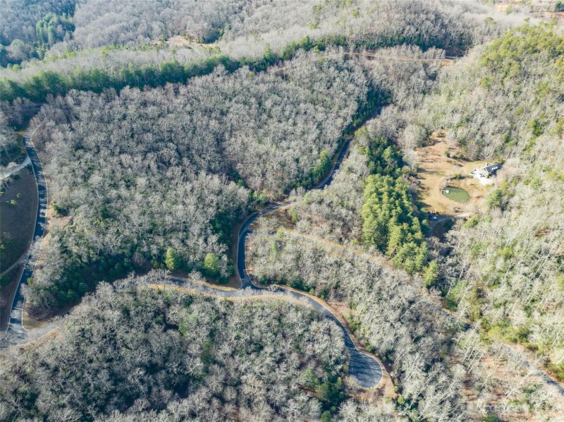 Property image 3 at 99999 Running Deer Trail, Mills River, NC 28742