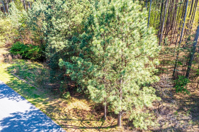 Property image 5 at 140 Greens Road, Granite Falls, NC 28630