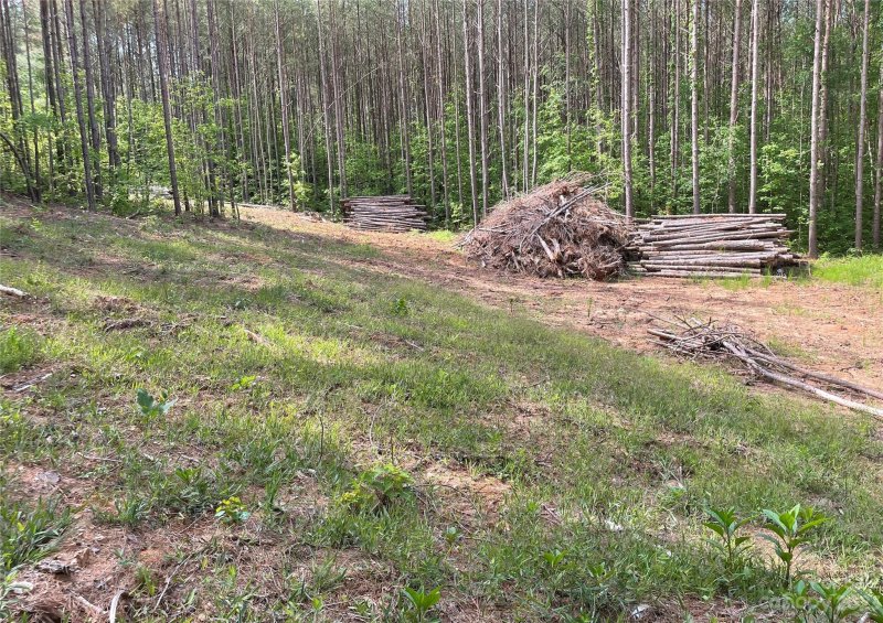 Property image 3 at Lot 19 Sunset Drive, Mill Spring, NC 28756