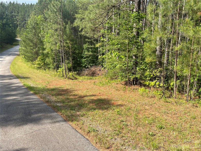 Property image 5 at Lot 19 Sunset Drive, Mill Spring, NC 28756