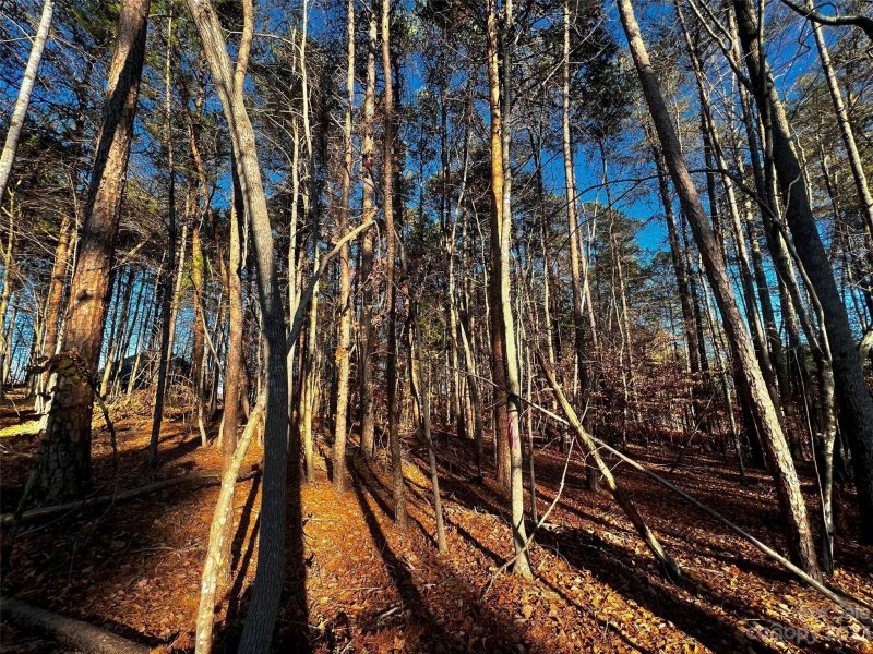 Property image 2 of 129 Hunt Camp Trail in Copper Pine, Davidson, NC 28036