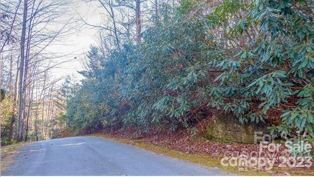 Property image 2 at Tbd Toxaway Falls Drive, Lake Toxaway, NC 28747