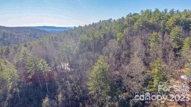 Property image 5 at Tbd Toxaway Falls Drive, Lake Toxaway, NC 28747