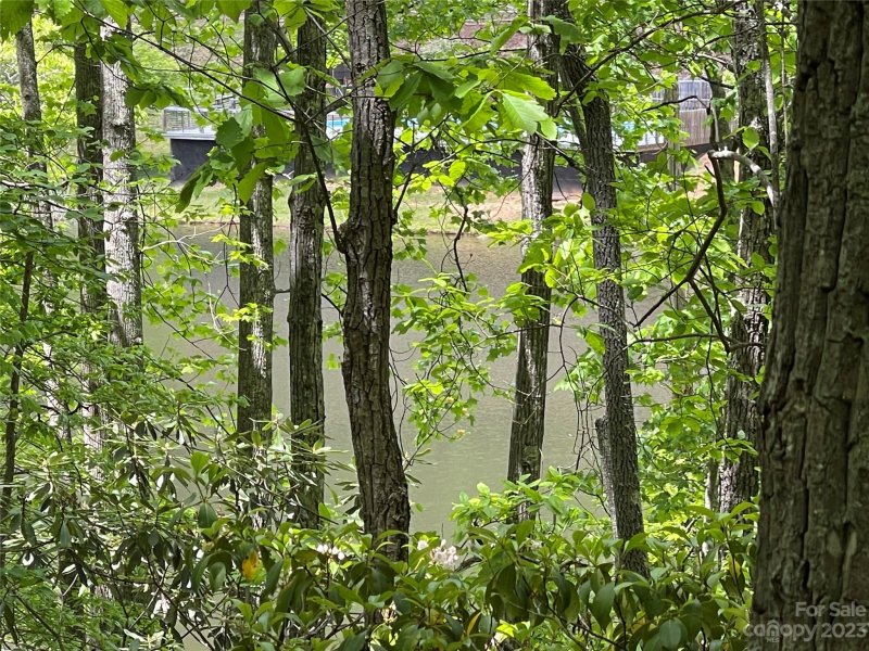 Property image 2 at Lot 65 Hawk Ridge Road, Deep Gap, NC 28618