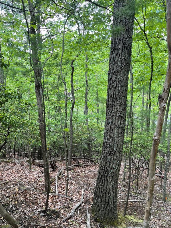 Property image 3 at Lot 65 Hawk Ridge Road, Deep Gap, NC 28618