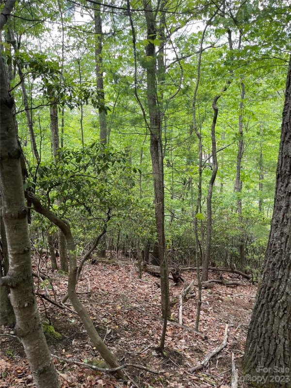 Property image 4 at Lot 65 Hawk Ridge Road, Deep Gap, NC 28618