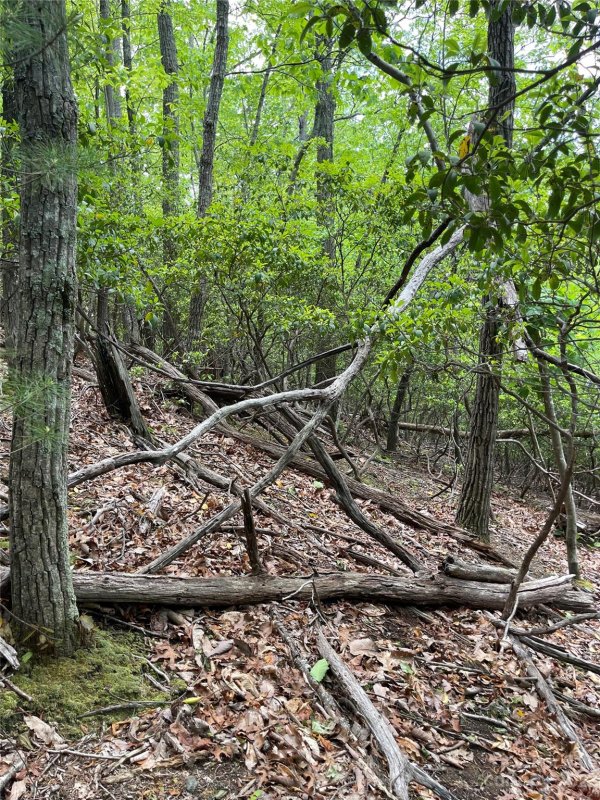 Property image 5 at Lot 65 Hawk Ridge Road, Deep Gap, NC 28618