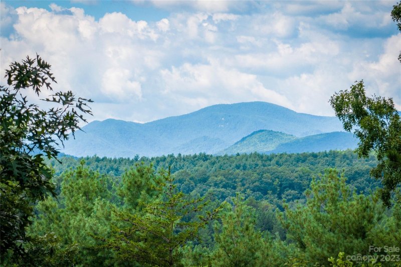 1711 Pisgah Preserve Drive