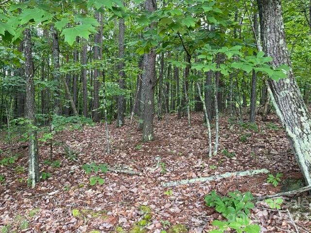 Property image 3 at 3715 Big Creek Road, Morganton, NC 28655