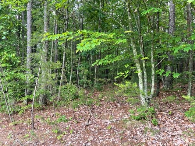 Property image 5 at 3715 Big Creek Road, Morganton, NC 28655