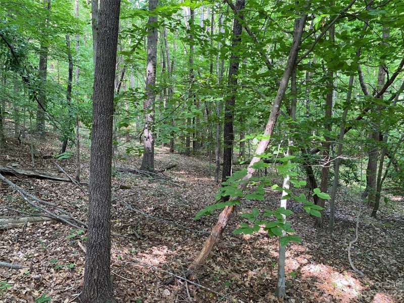 Property image 4 at 8436 Marina Lane, Catawba, NC 28609