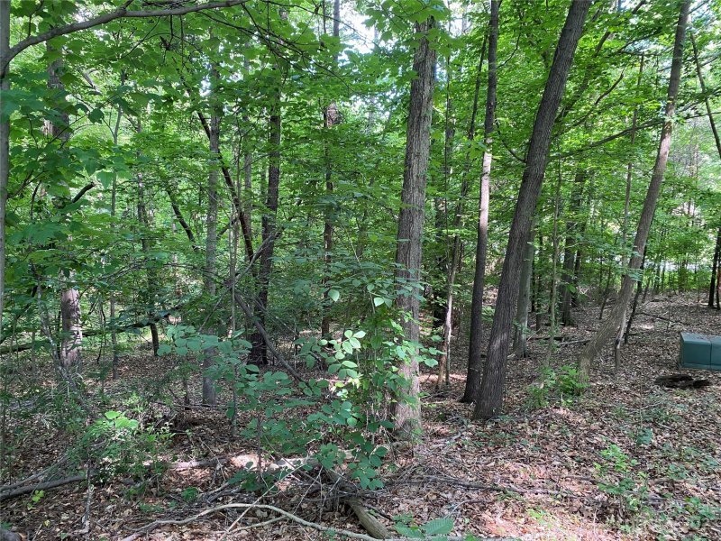 Property image 5 at 8436 Marina Lane, Catawba, NC 28609