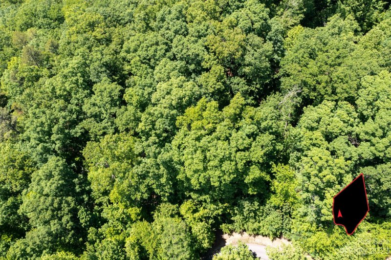 Property image 4 at Tbd Mountain Crest Drive, Marion, NC 28752