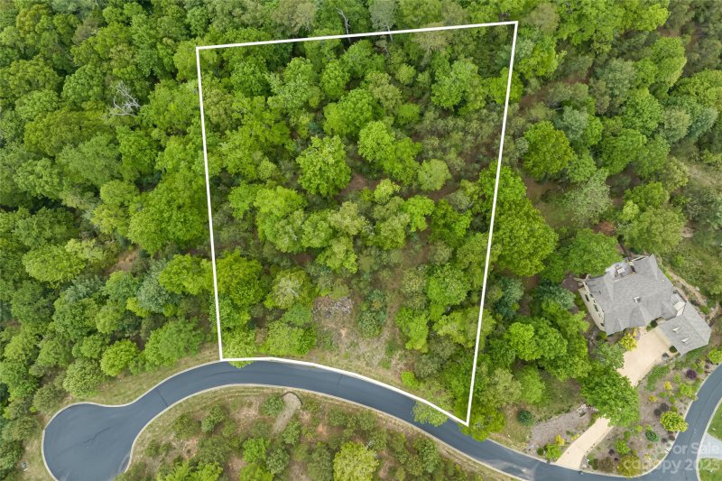 Property image 3 at 218 Watershed Way, Horse Shoe, NC 28742