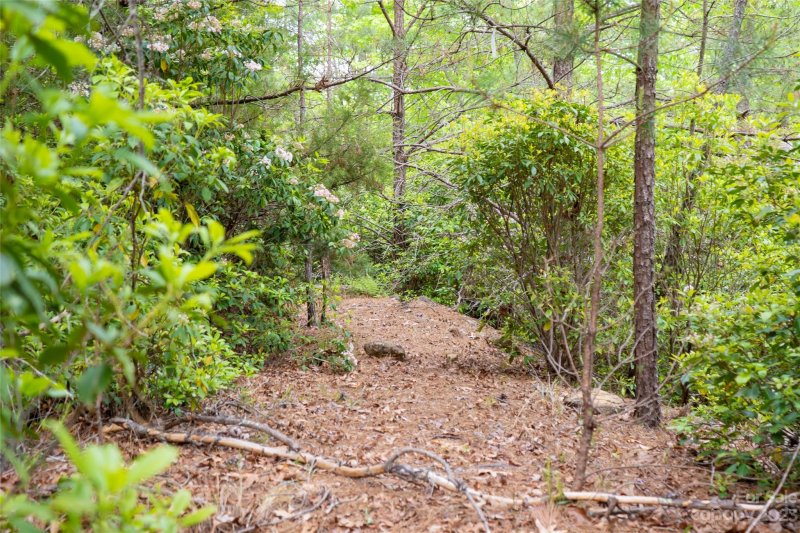 Property image 4 at 218 Watershed Way, Horse Shoe, NC 28742