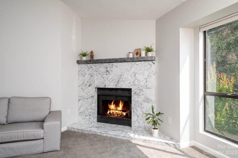 Property image 5 at 44 Ravencroft Lane, Asheville, NC 28803