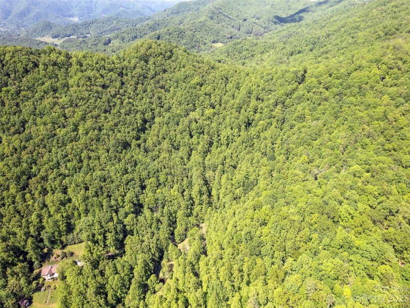 Property image 5 at 00 Walnut Ridge Drive, Clyde, NC 28721