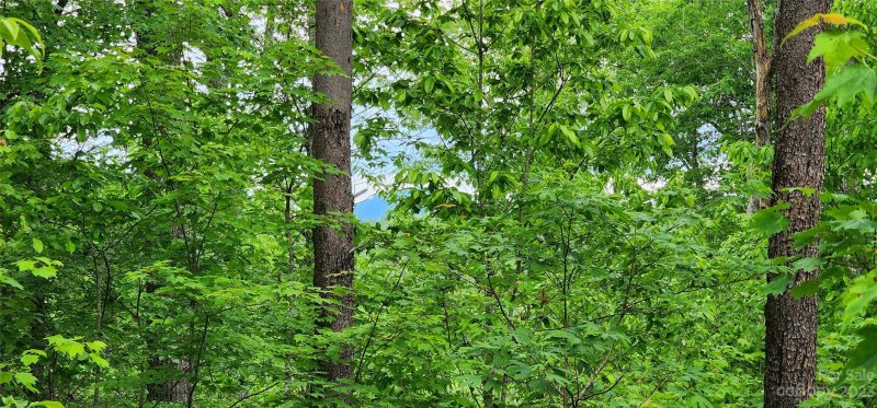 Property image 5 at Lot 3 S Cross Creek Trail, Mill Spring, NC 28756