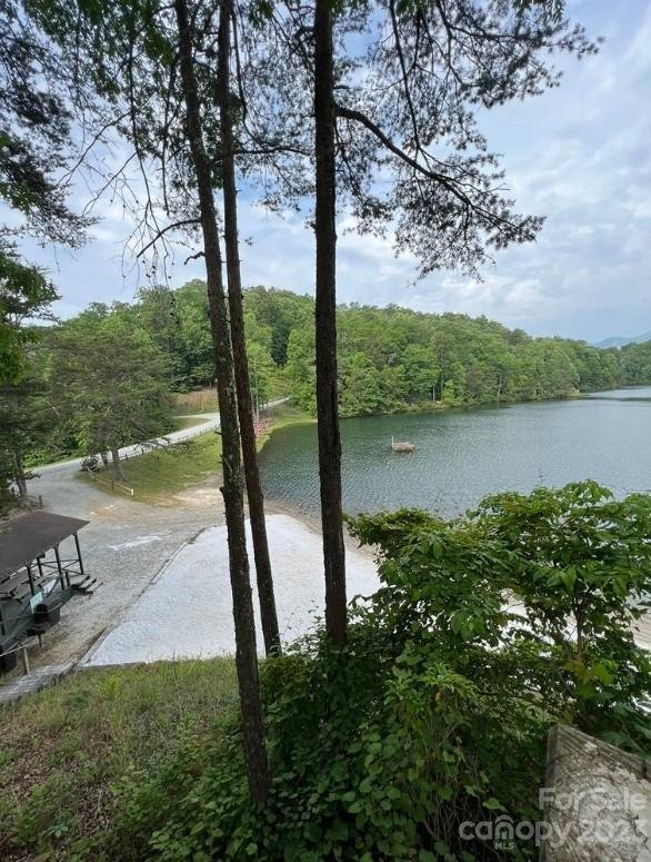 Property image 2 at 000 Birddog Boulevard, Lake Lure, NC 28746
