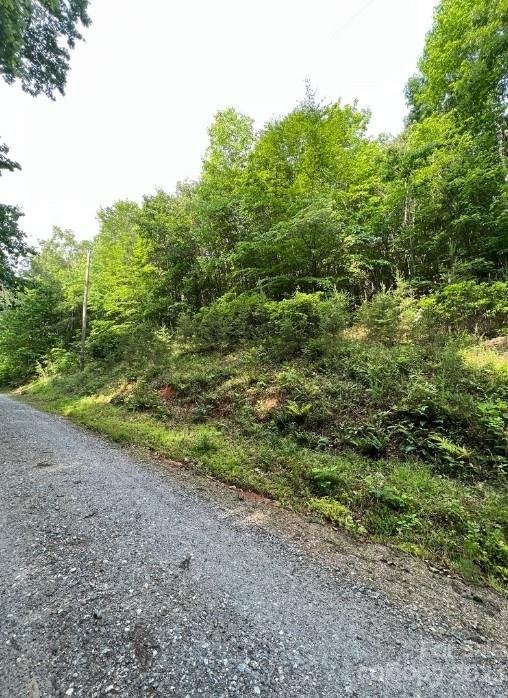 Property image 3 at 000 Birddog Boulevard, Lake Lure, NC 28746