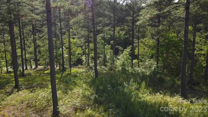 Property image 4 at 1805 Coveside Drive, Granite Falls, NC 28613