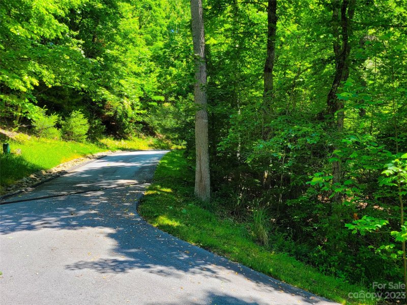 Property image 2 of 216 Bent Pine Trace in Champion Hills, Hendersonville, NC 28739