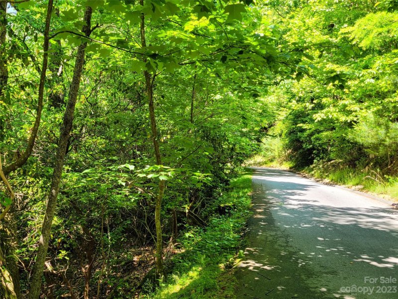 Property image 3 of 216 Bent Pine Trace in Champion Hills, Hendersonville, NC 28739