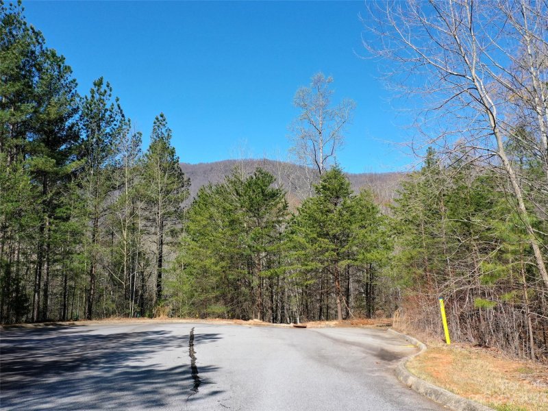 Property image 2 of Lot 25 Monteith Place in Brights Creek, Mill Spring, NC 28756