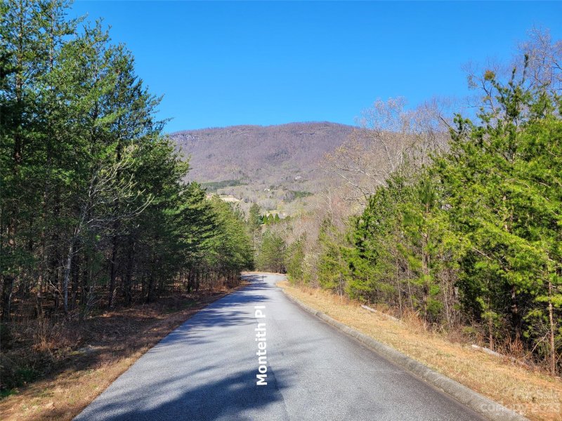 Property image 3 of Lot 25 Monteith Place in Brights Creek, Mill Spring, NC 28756