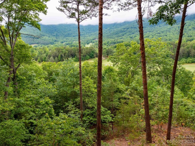 Property image 5 of Lot 43 Deep Gap Farm Road in Brights Creek, Mill Spring, NC 28756