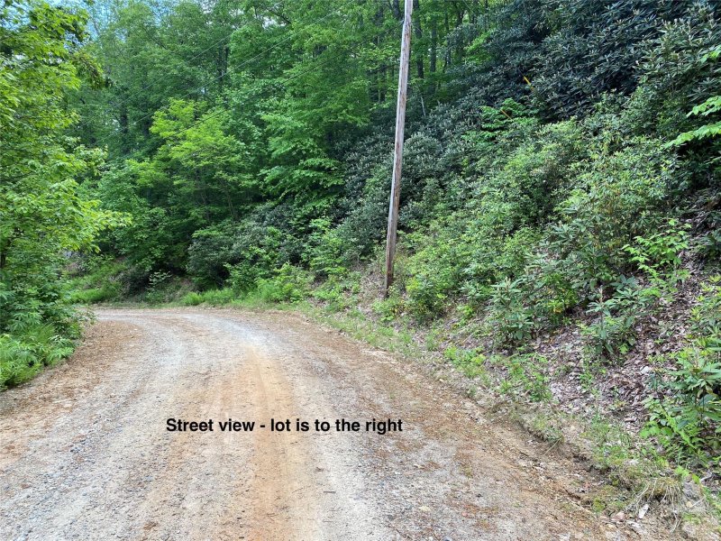 Property image 2 at 313 Williams Circle, Lake Lure, NC 28746