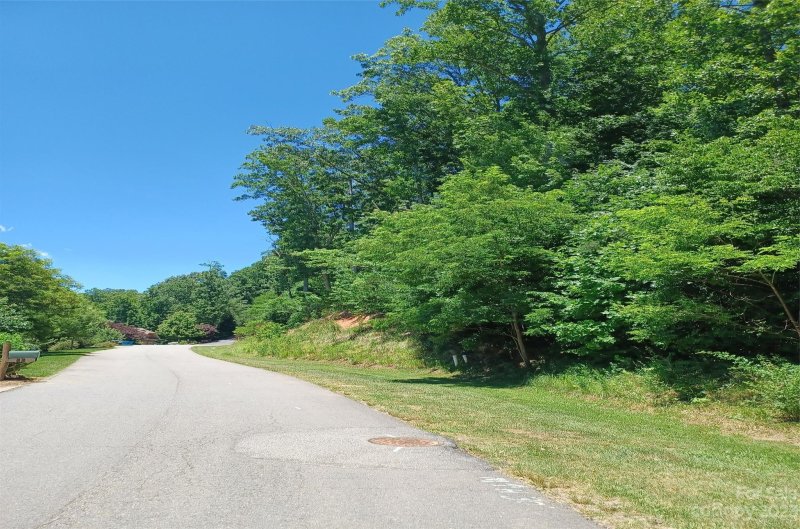 Property image 3 at 29 Red Tail Court, Fairview, NC 28730