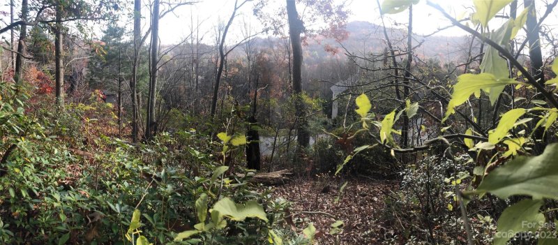 Property image 4 at 29 Red Tail Court, Fairview, NC 28730