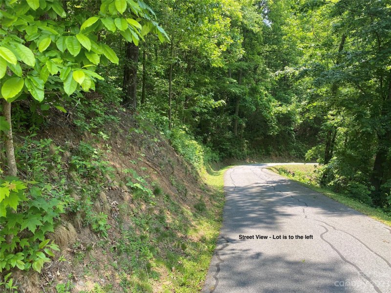 Property image 4 at Lot 21 Powderhorn Ridge, Canton, NC 28716