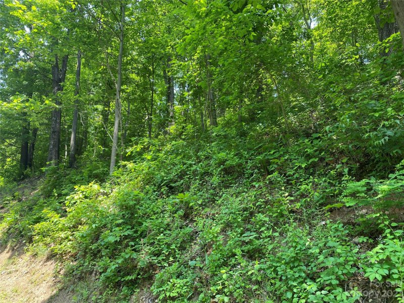 Property image 5 at Lot 21 Powderhorn Ridge, Canton, NC 28716
