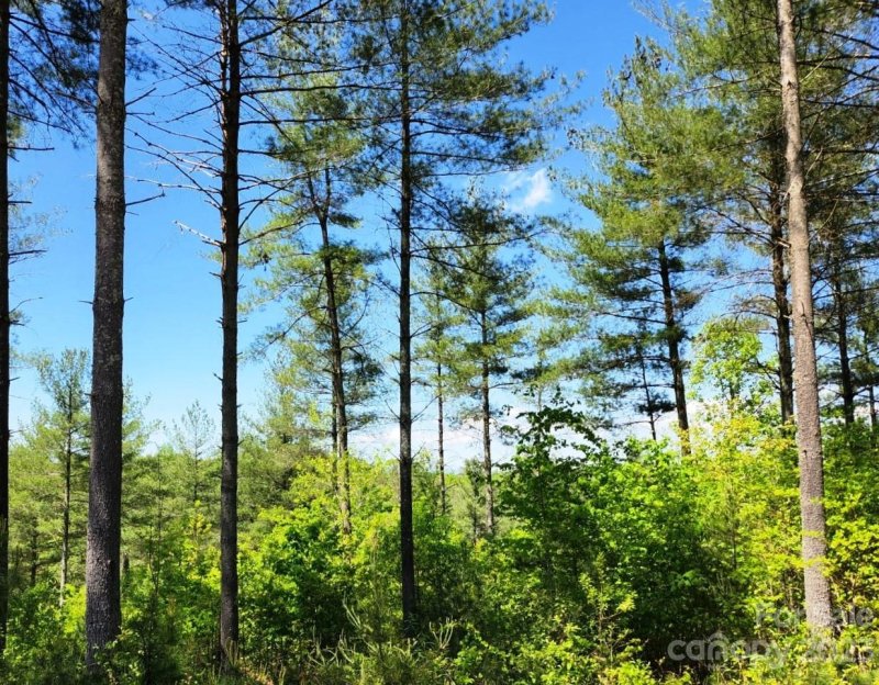 Property image 2 at 2313 Waterside Boulevard, Valdese, NC 28690