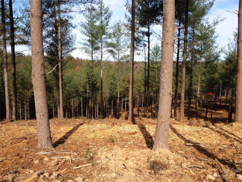 Property image 4 at 2313 Waterside Boulevard, Valdese, NC 28690