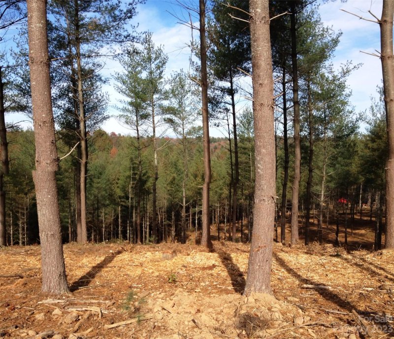 Property image 5 at 2313 Waterside Boulevard, Valdese, NC 28690