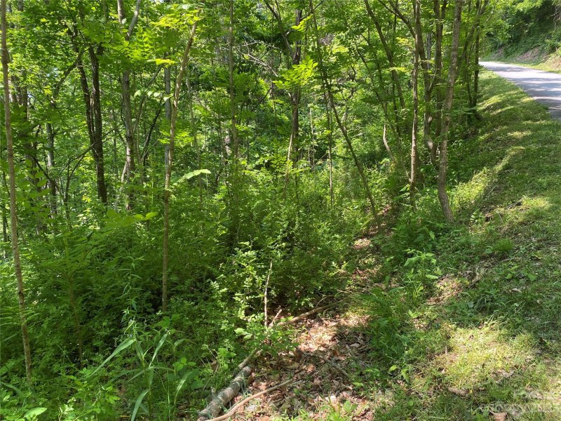 Property image 4 at Lot 31 Grandview Cliff Heights, Maggie Valley, NC 28751