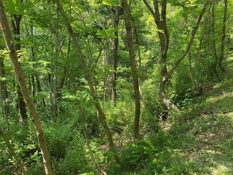 Property image 3 at Lot 33 Grandview Cliff Heights, Maggie Valley, NC 28751