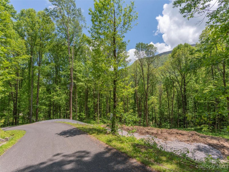 Property image 2 at 343 Davy Crockett Drive, Maggie Valley, NC 28751