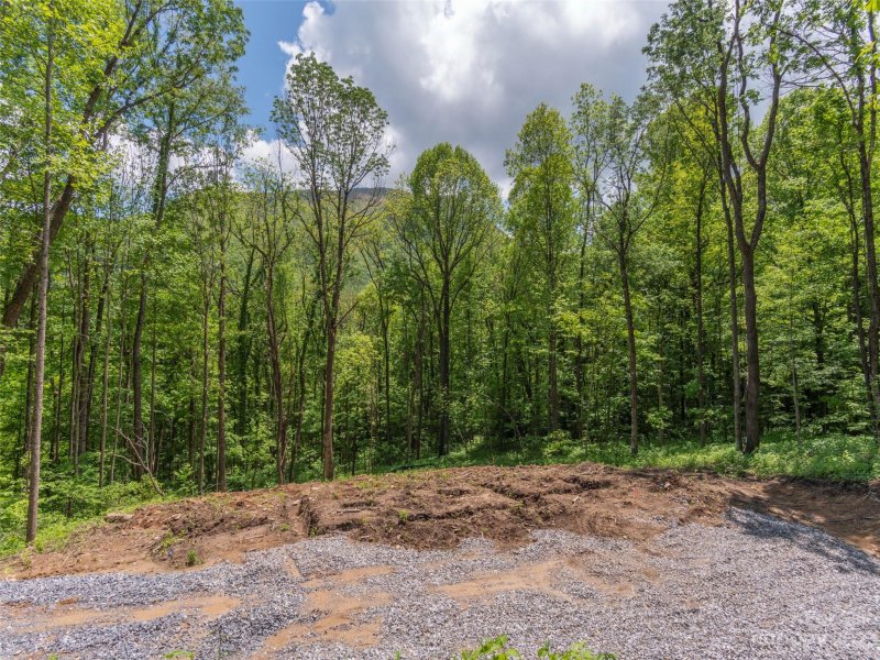 Property image 3 at 343 Davy Crockett Drive, Maggie Valley, NC 28751