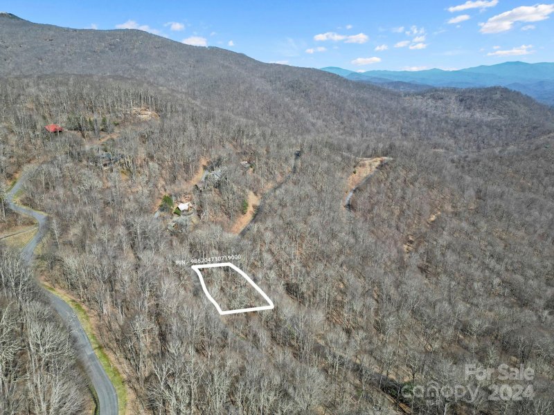 Property image 2 of 10 Chestnut Village Lane in Wolf Laurel, Mars Hill, NC 28754